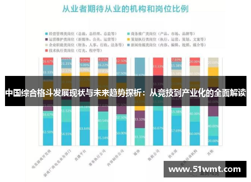 中国综合格斗发展现状与未来趋势探析：从竞技到产业化的全面解读